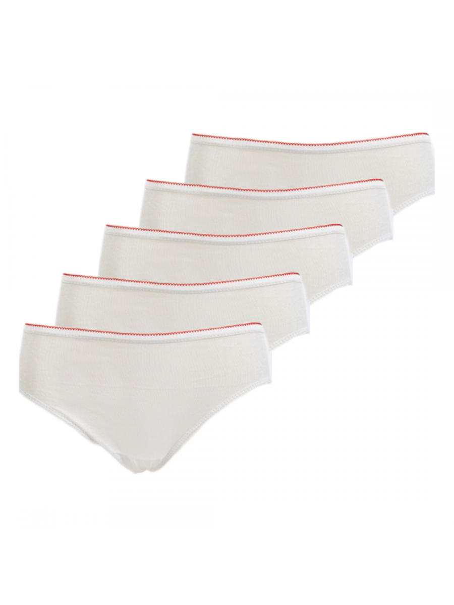1 pack of disposable panties x1