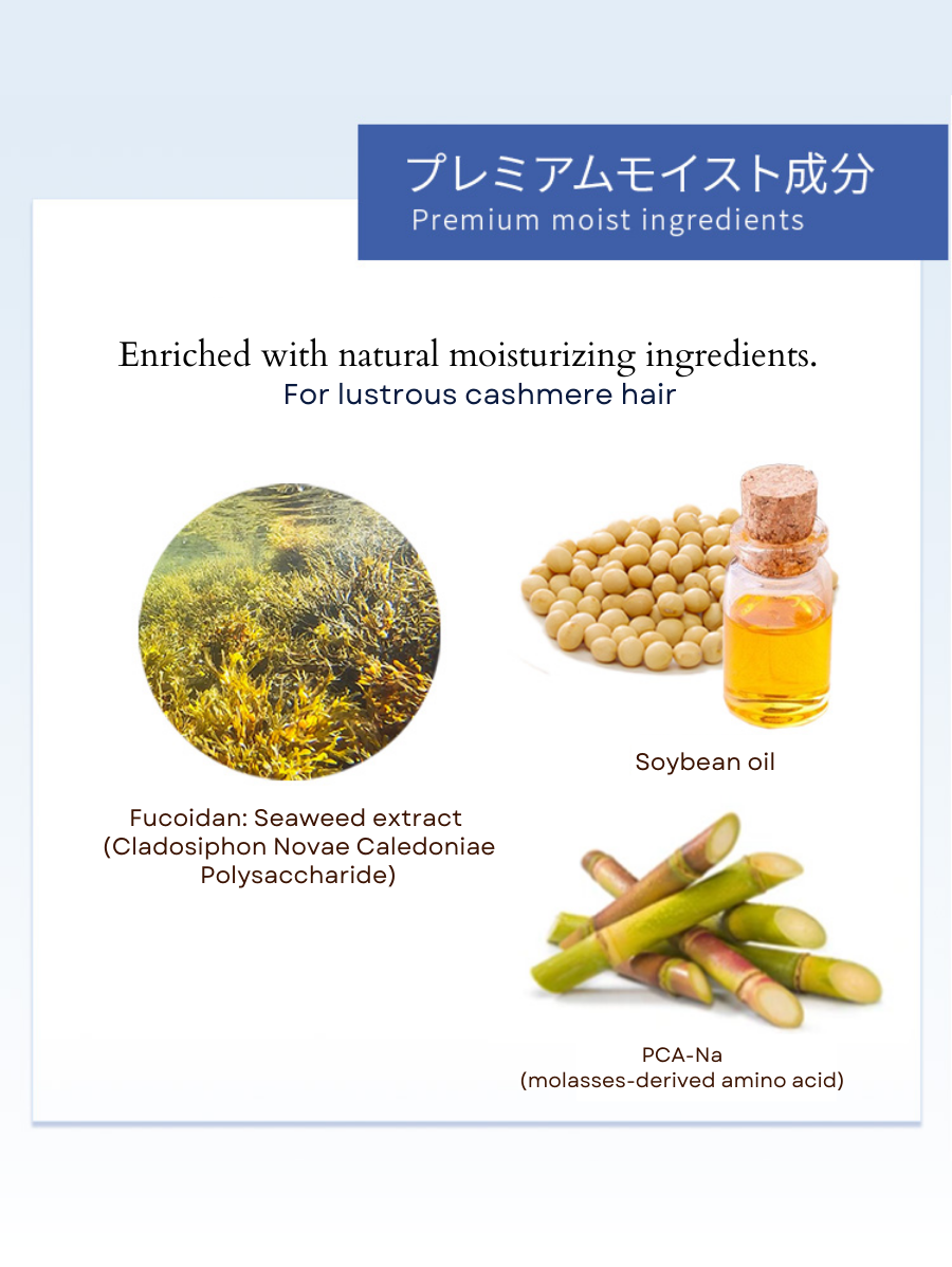 Inujirushi × RauB® Mineral Cleanse Shampoo