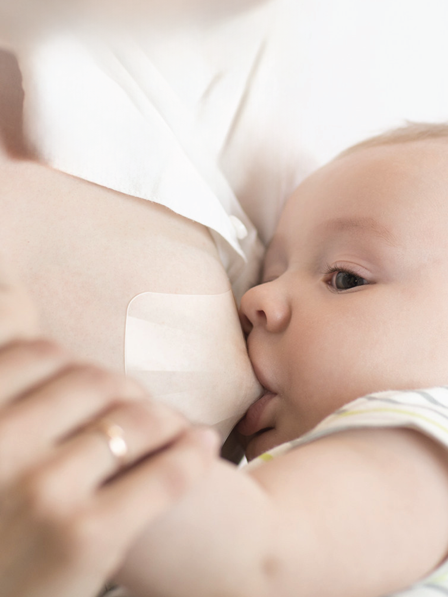 Nipple Shield Teat Protector (4 holes) 1 Pair