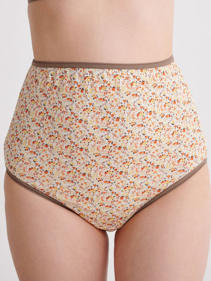 INUJIRUSHI Maternity Brief Set (Japan Made)